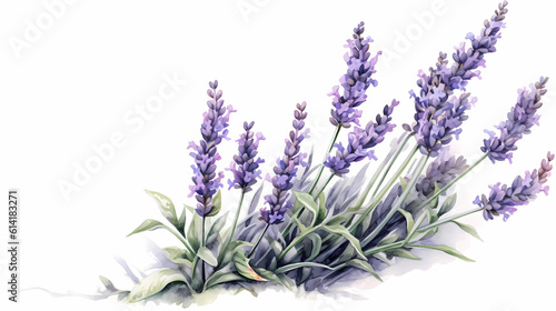 Drawing of lavender  Generative AI