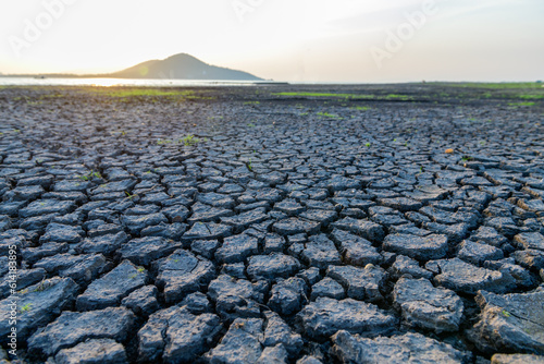 Cracks on the surface of the earth are altered by the shrinkage of mud due to drought conditions of the terrain.