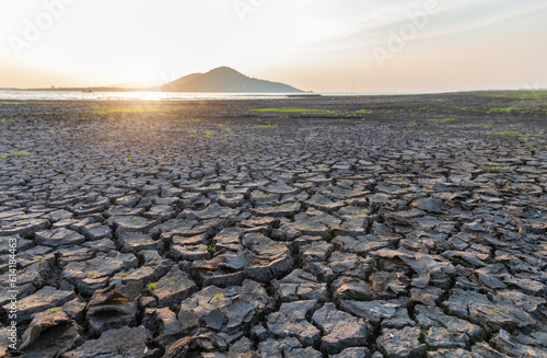 Cracks on the surface of the earth are altered by the shrinkage of mud due to drought