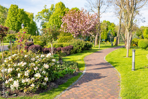 Landscape design of a city park with a twisted path paved with paving slabs under the sun rays of a spring day.