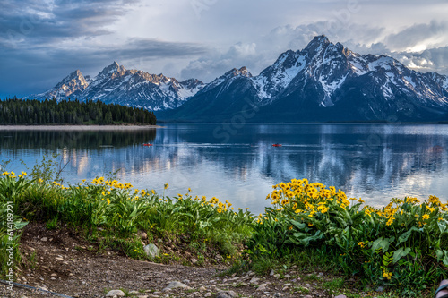 Arrowleaf balsamroot wildflowers in bloom on the shore of Jackson Lake with Grand Teton and Mount Moran glowing in the sunset light, Grand Teton National Park, Wyoming photo