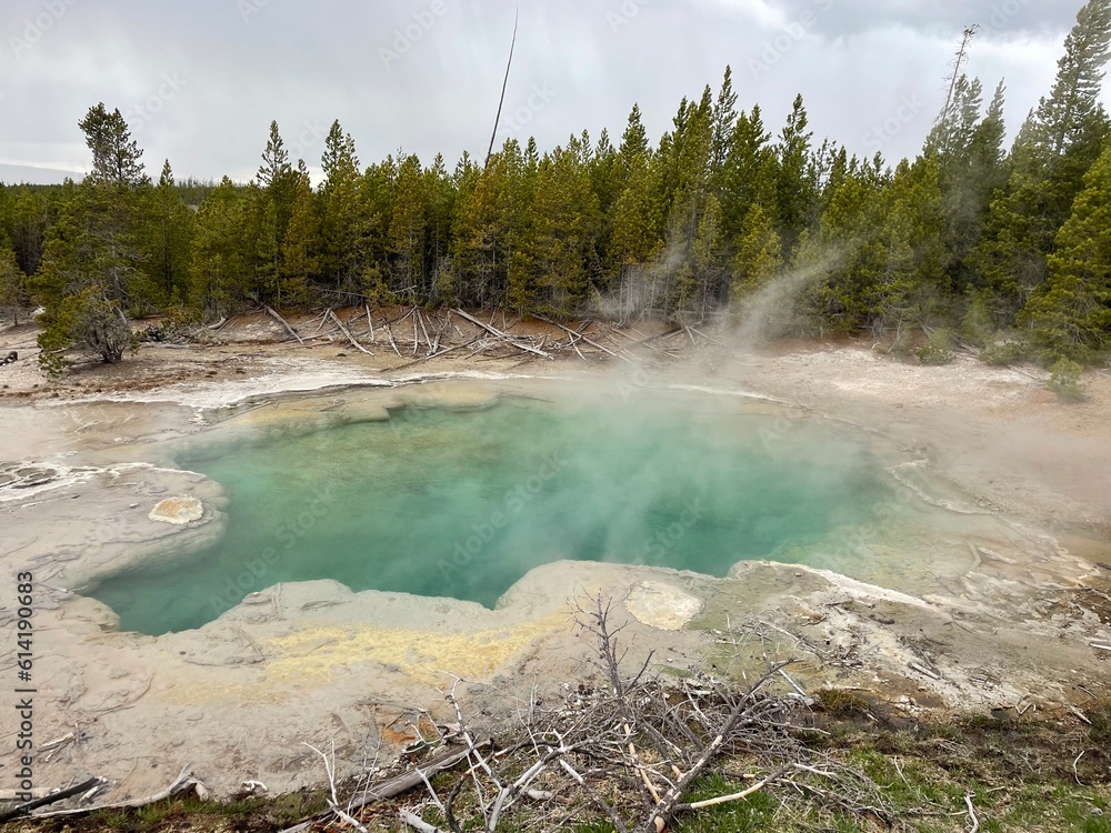 Hot spring steaming from geothermal activity at the Basin area Hot spring steaming from geothermal activity at the Basin area