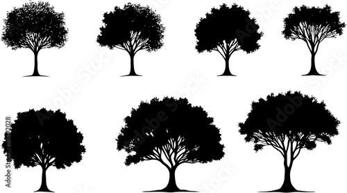 Majestic Black Vector Tree Silhouettes for Stunning Designs