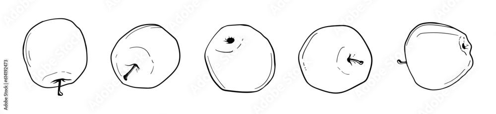 Apples in the row. Contour drawing set. Scetch vector illustration. Apples in the row. Contour drawing set. Scetch vector illustration.