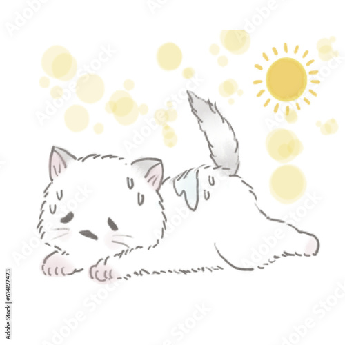 Miri little cat being happy with her daily life