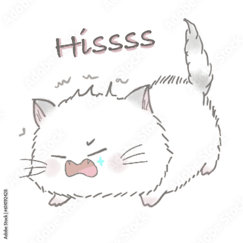 Miri little cat being happy with her daily life