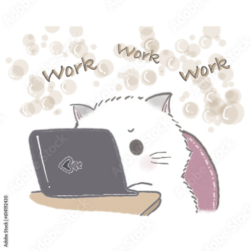 Miri little cat being happy with her daily life