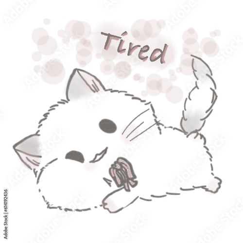 Miri little cat being happy with her daily life