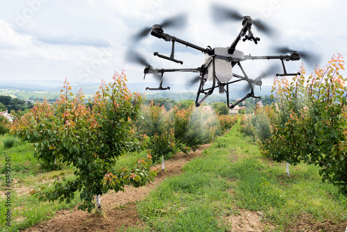 Drone sprayer flies over apple trees. Smart farming and precision agriculture.