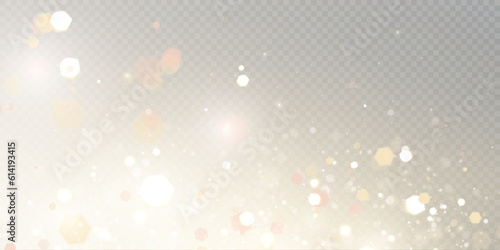 Light effect with lots of glittery glare particles shining on a transparent background.	