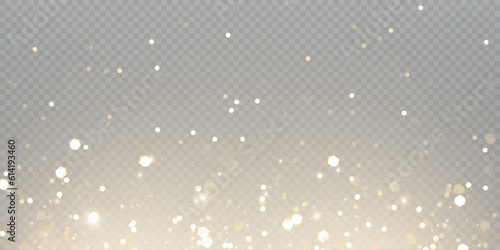 Light effect with lots of glittery glare particles shining on a transparent background.	