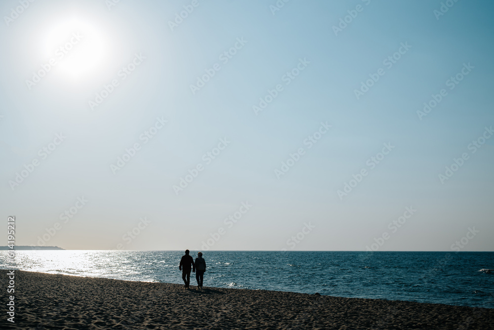 Adult couple walking along seashore on sunny day, vacation and relaxation. Rear view of people silhouette on sea beach Adult couple walking along seashore on sunny day, vacation and relaxation. Rear view of people silhouette on sea beach