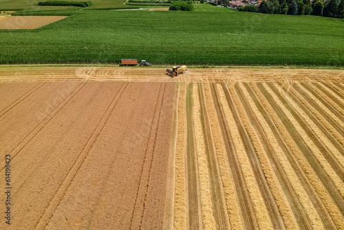 Harvesting scene in the italian countryside