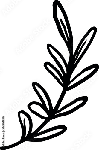 Branch with leaves for decoration and design.