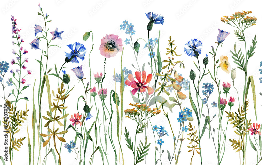 Seamless border watercolor wild meadow flowers, cornflowers, poppy, herb, forget-me-nots, bluebells