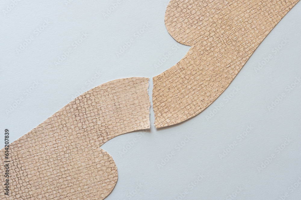 two rounded paper cutouts on blank paper two rounded paper cutouts on blank paper