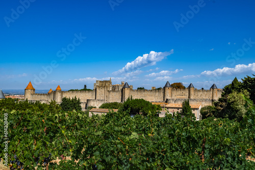 Spectacular Ancient Fortress Of Medieval City Carcassonne And Vineyards In Occitania, France