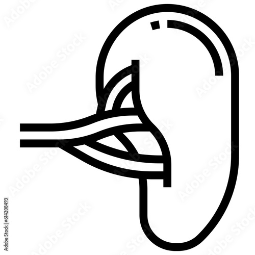 SPLEEN line icon,linear,outline,graphic,illustration