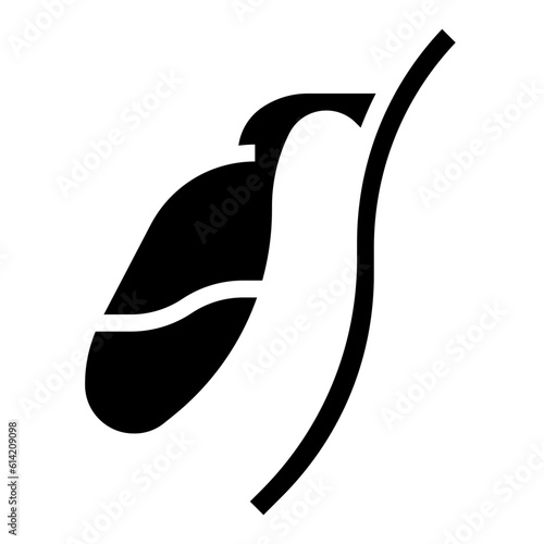 GALLBLADDER line icon,linear,outline,graphic,illustration
