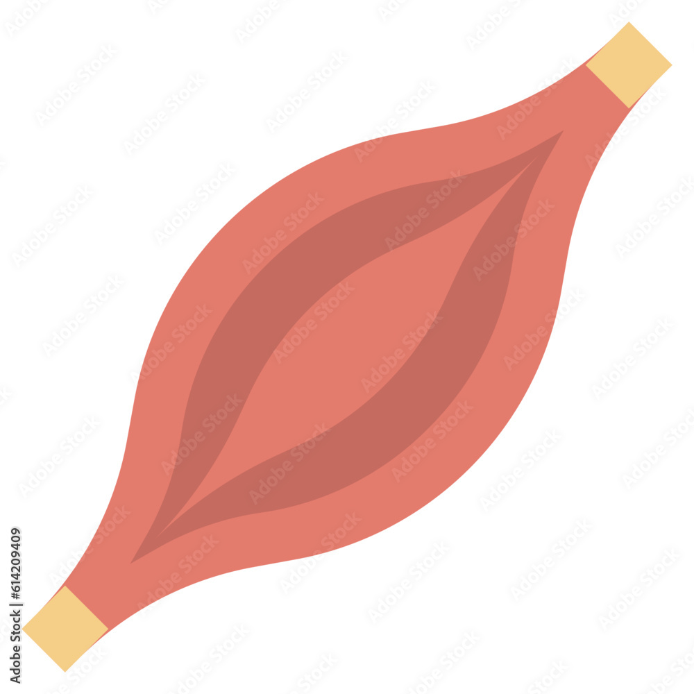 MUSCLE line icon,linear,outline,graphic,illustration MUSCLE line icon,linear,outline,graphic,illustration
