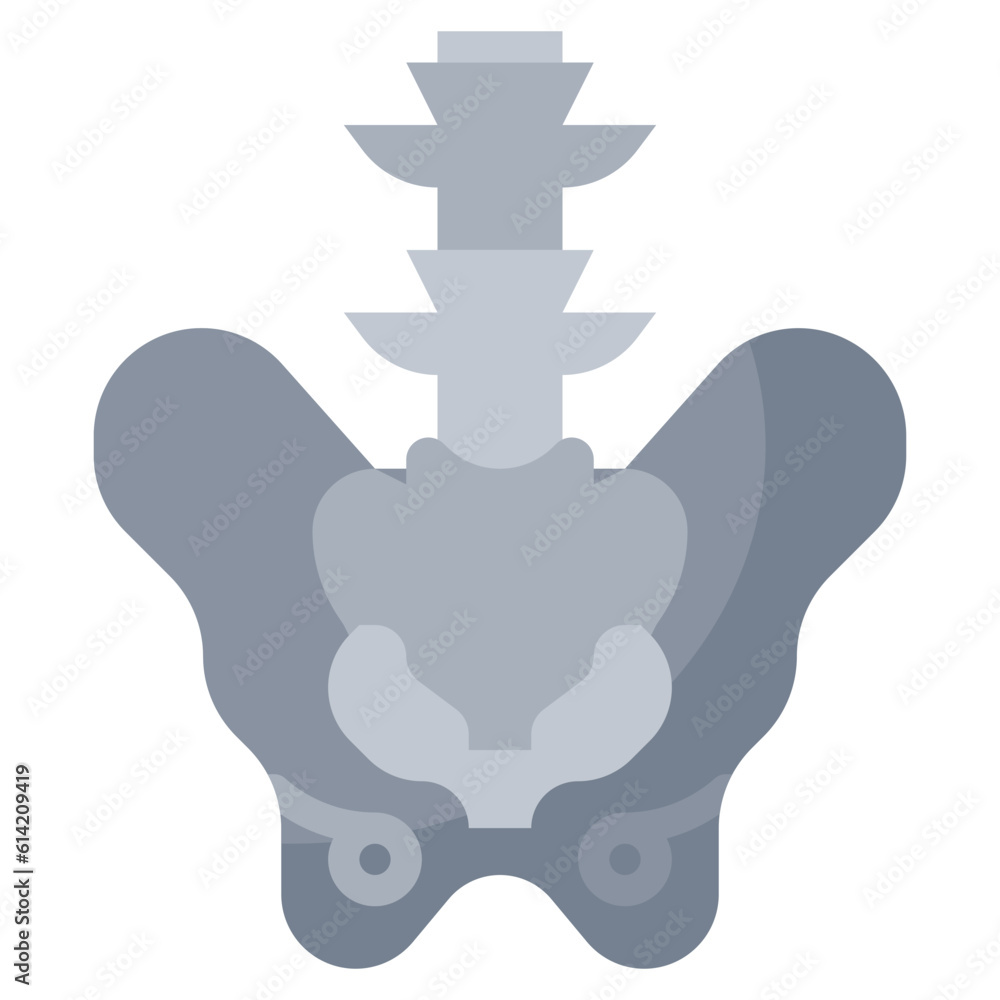 Fototapeta premium PELVIS line icon,linear,outline,graphic,illustration