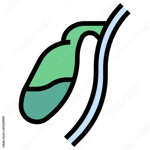 GALLBLADDER line icon,linear,outline,graphic,illustration