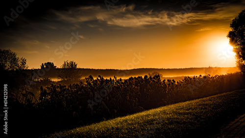 Foggy morning in the valley on the Suprasl River at sunrise. photo