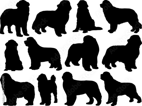 Set of Newfoundland Dog Silhouette
