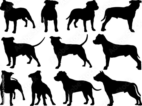 Принти на полотні Set of Staffordshire Bull Terrier Dog Silhouette