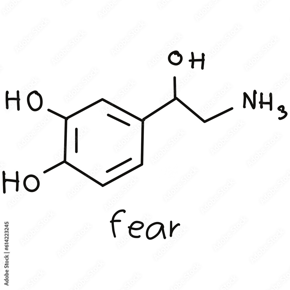Chemical structures in food and what we eat every day Chemical structures in food and what we eat every day
