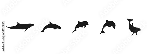 Dolphins line shape silhouette icon. Animals set vector illustration. Sea life symbols. Dolphin aquatic mammal vector icon for animal apps and websites. Vector silhouette on a white background.