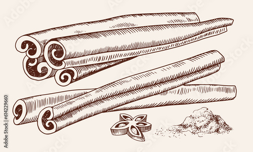 Set of spices. Сinnamon sticks, pile of cinnamon powder, anise. Linear illustration. Sketch style. Ingredient for baking