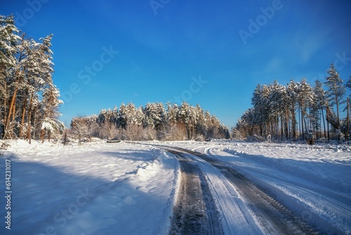 Cold winter in Europe after  sanctions against Russia. Lumber industry, woodworking industry, global warming, and climate change © Alexeiy