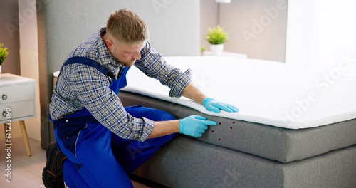 фотографія Bed Bug Infestation And Treatment Service