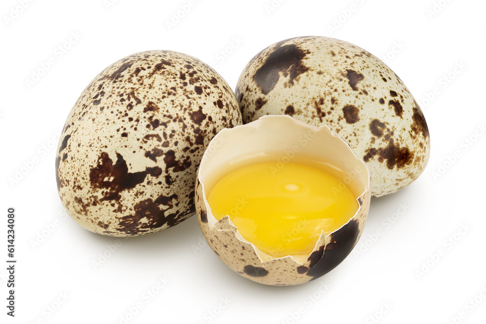 Raw quail egg isolated on white background with full depth of field Raw quail egg isolated on white background with full depth of field