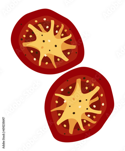 Dried tomatoes. Two slices. Vector isolated illustration.