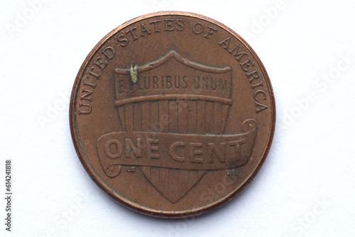 the reverse of an uncirculated 2014 US one cent coin with minor scuffs and scratches, close-up on a white background
