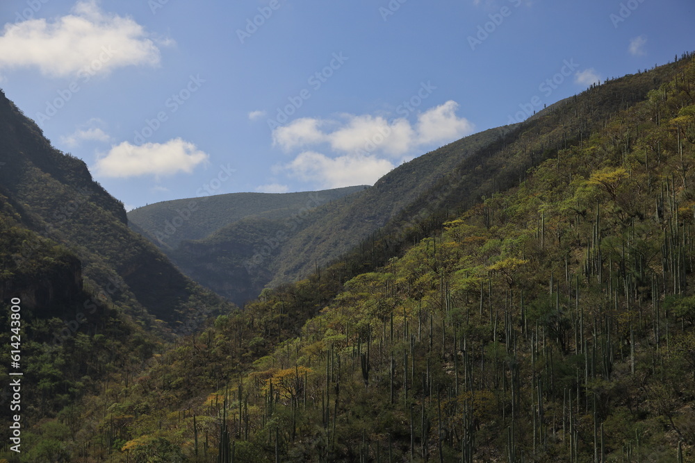 Naklejka premium hills