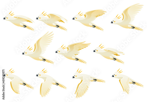 Parrot animation. Exotic adorable fauna character flight. White sulphur crested cockatoo. Animated sprites loop of tropical bird flying