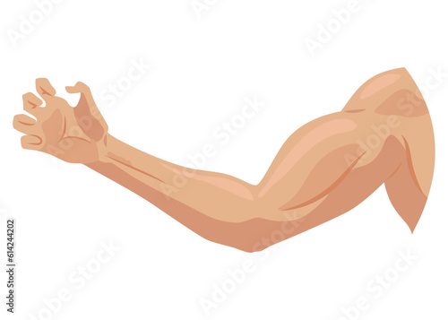 Male biceps muscles icons set. Sportsman arm with strong biceps. Vector symbol of healthy power. Athletic body with tense muscles hand isolated onwhite background