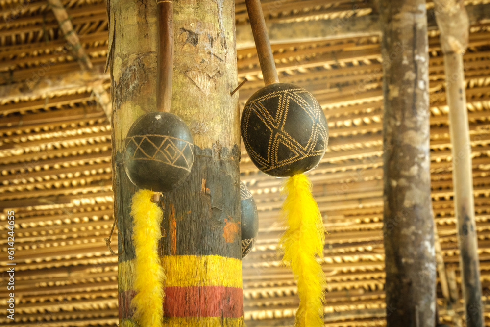 Shaman of Amazon Tribe Provides Spiritual Blessing in Macaw Feather ...