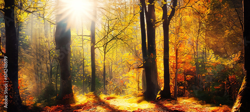 Beautiful autumn forest scenery bright sun bright background nature