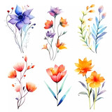 Set flowers isolated white background, watercolor clipart, botanical illustration.   Colorful flowers for crafts, scrapbooking or art projects. 
