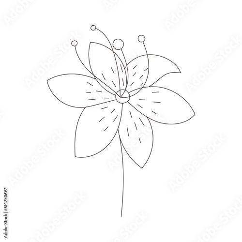 lily flower element coloring book