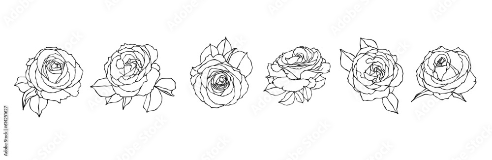 Set of sketches of flowers and rose buds. Vector graphics. Set of sketches of flowers and rose buds. Vector graphics.