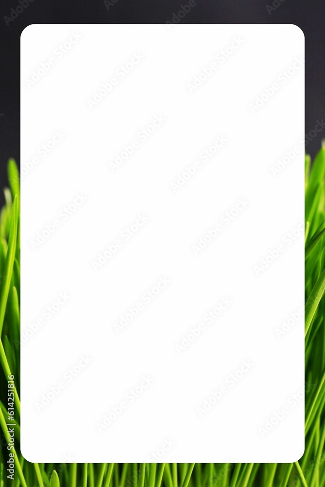 Obraz premium Creative and colored rectangle border with white background
