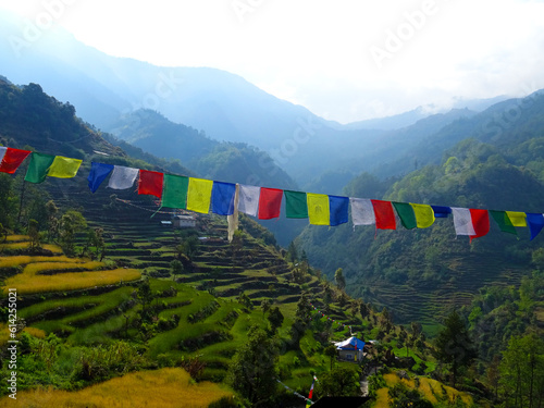 rice terraces view with prayer flags