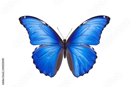 Blue Butterfly Perched on Transparent Background. AI © Usmanify