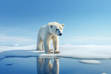Polar bear standing on ice surrounded by water. Climate change concept. 