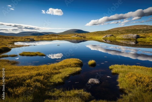 A typical Norwegian view at the Dovrefjell national park on a beautiful summer day with blue sky. Generative AI